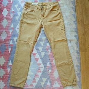 Classic gold pilcro stet pants